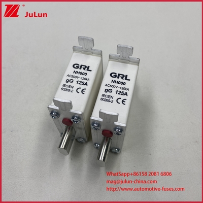 160A, 200A, 250A, 315A, 400A, NT000, NT00, NT0, NT1, NT2, NT3, NT4 Cầu chì ống và đế cầu chì 500V AC 10A~100A, 125A, 500A 630A