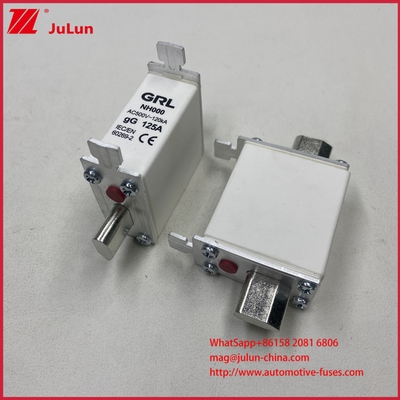 225A 160A 125A NT000/NH000 125A Fuse Link/holder Balde Fuse Ceramic Porcelain Fuse Base