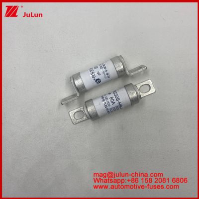 SCREW BOLT RS308-HB-4G 20A 60A Ceramic Automotive Fuses for Voltage Applications up to AC690V/DC550V