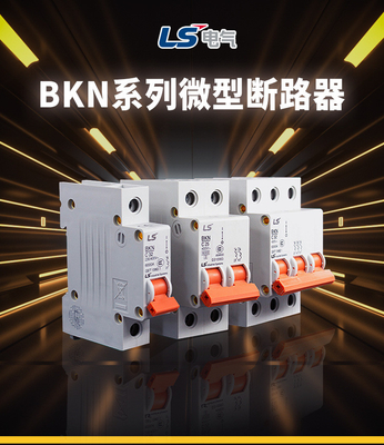Bộ ngắt mạch vi mô BKN, Bộ ngắt mạch điện nhỏ LG / LS