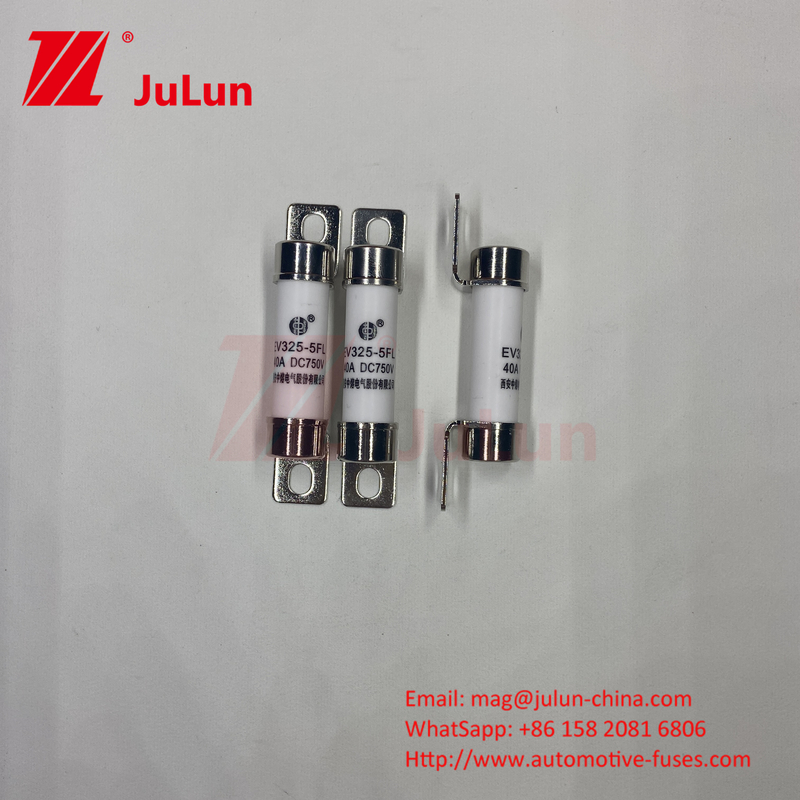 Động cơ điện Phòng an toàn bị bóp Phòng an toàn năng lượng EV Fuse 40A Tính năng Xây dựng được bóp Cụ thể