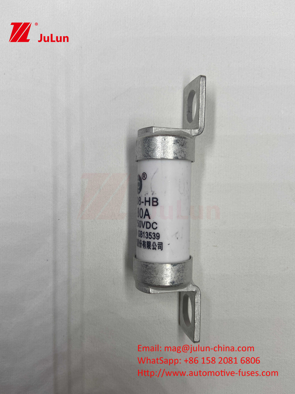 63A RS308 HB Fuse Bolted Mounting 80A 10A 15A 40A Fuses gốm ô tô với Bolt Mounting