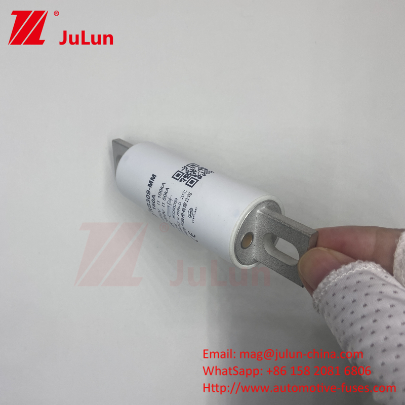 RS309-MM-EV250A 100KA Điện áp trung bình Xe điện Sạc nhanh / Sạc nhanh Ev Dc