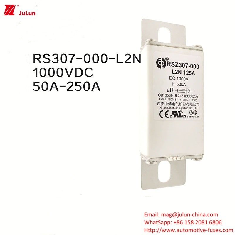 100A Bolt On Ev Dc Sạc nhanh / Sạc nhanh xe điện RSZ307-000-L2N Fuse