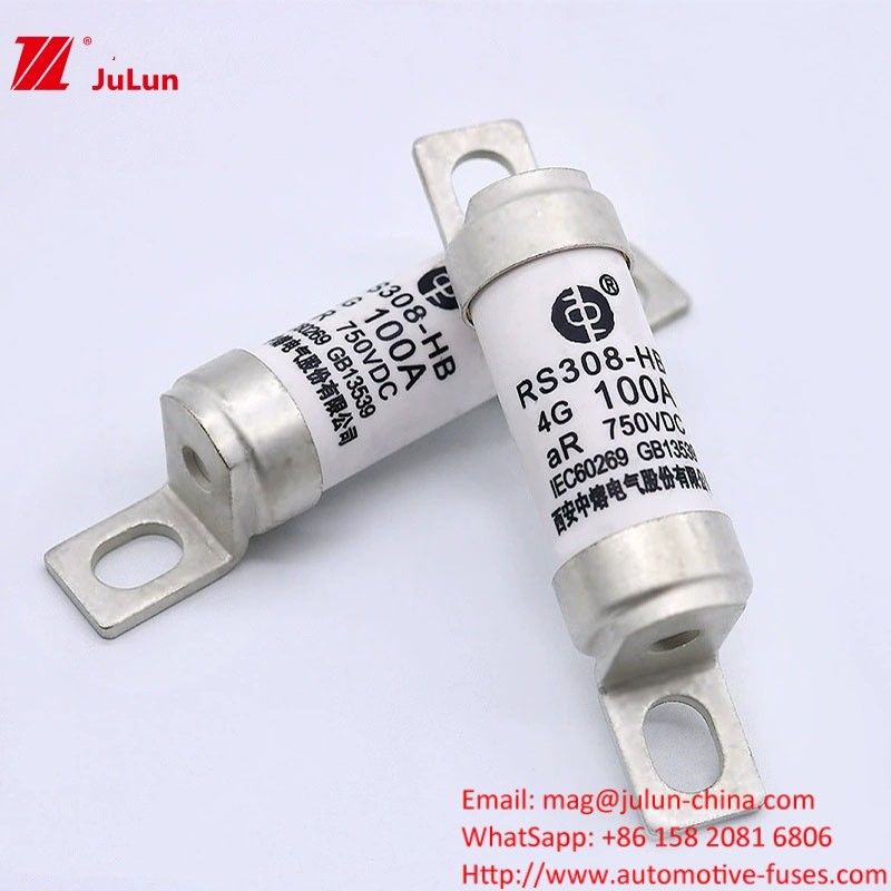Phòng an toàn xe điện RS308 100A DC750V 50KA cho loại thiết bị đầu cuối điện