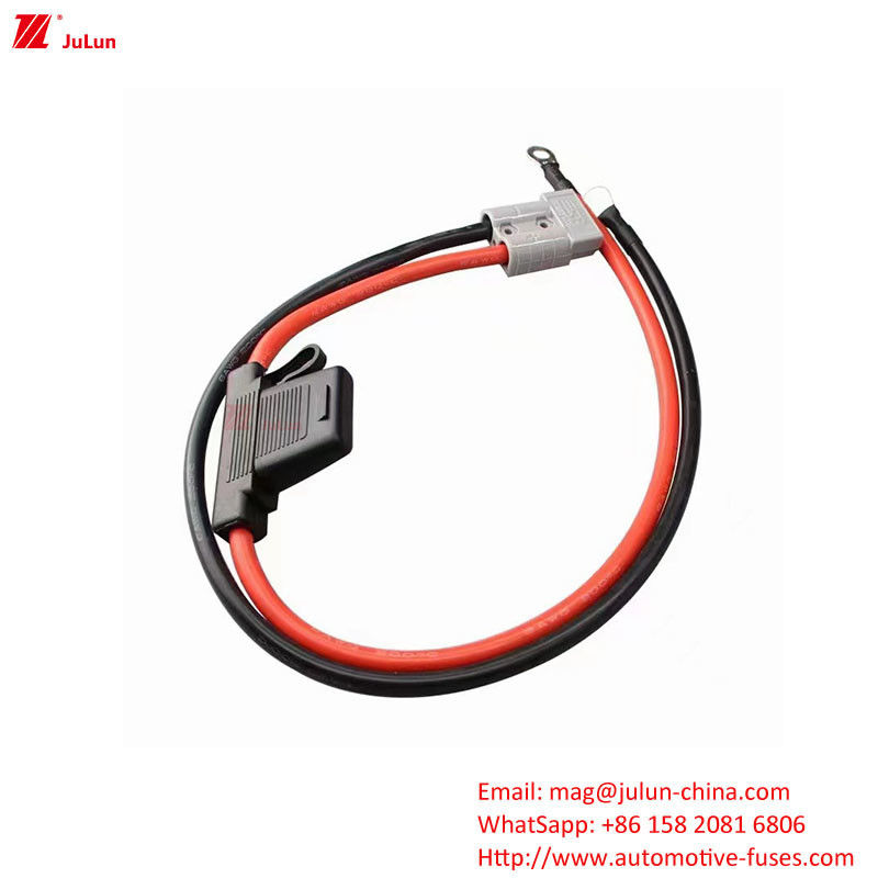 Tiêu chuẩn Eu UL 30A-100A Fuses ô tô được sử dụng trong lĩnh vực xe động cơ năng lượng mới
