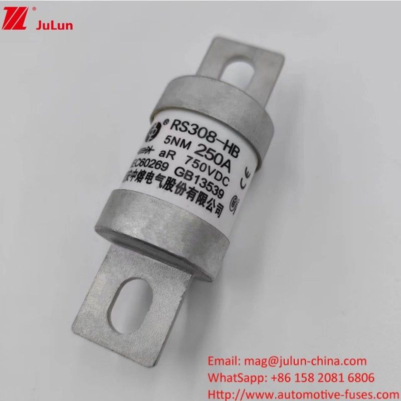 200A 250A 300A -400A Vòng vít an toàn xe điện M8 M6 Phương pháp lắp đặt Cổng đầu cuối Loại 750VDC An toàn năng lượng