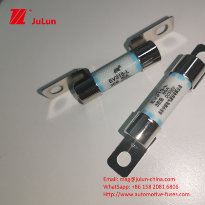 Bảo vệ mạch ngắn xe điện Fuse 40A với khả năng phá vỡ 3KA ô tô