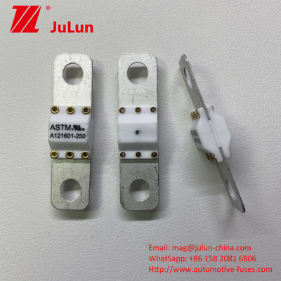 Công cụ sạc EV di động 100A Bảo vệ cháy High Break Short Circuit Protection Fuse