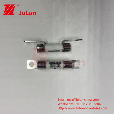 Ceramic Automotive 10A 15A 750VDC Fuses Ceramic Vehicle Fuses 25A 30A 40A 50A Ues Cho bộ sạc xe EV