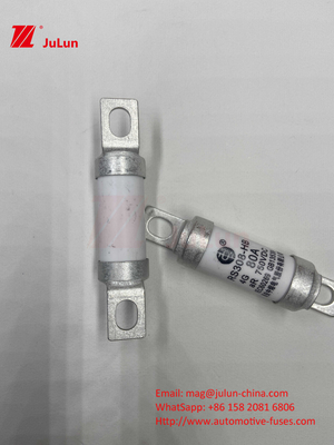 750VDC Ceramic Automotive Fuses 14. ống gốm 20x46mm 15A 40A 50A RS308 HB G FUSE 750VDC EV325 100A