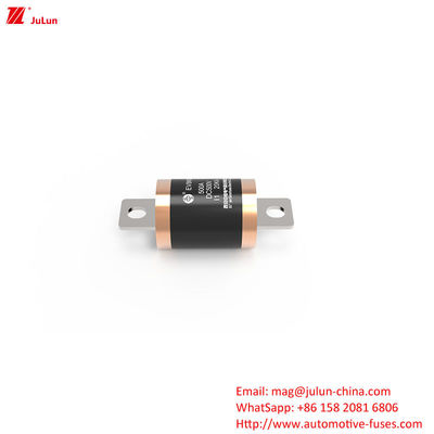 10KA 20KA 300A Chất bảo vệ xe điện cho bảo vệ mạch ngắn với điện áp định số tối đa 500VDC