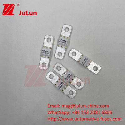 ASTM FUSE 121601 80A 125VDC Fuse xe điện