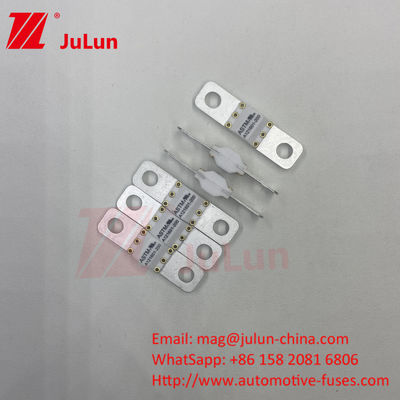 Phương tiện điện Fuse ô tô ASTM FUSE 300A 125VDC Bolt On