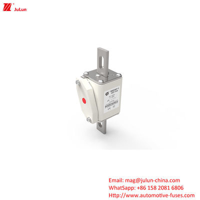RSZ307-1-Q5Z DC1000V Xe điện sạc nhanh Auto Fuses cho hệ thống điện DC