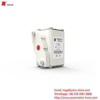 315A AC1000V Bộ sạc xe EV di động Bộ an toàn xe hơi có khả năng phá vỡ cao