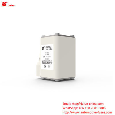 315A AC1000V Tàu vận chuyển đường sắt Công nghiệp Xe điện Fuse