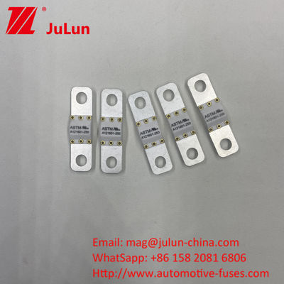 125 VDC Bộ sạc pin ô tô Fuse A121601-300A Bộ sạc năng lượng Motorcycle