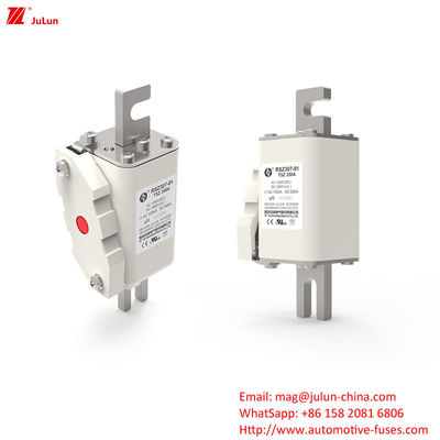 160A-550A Điện lực giới hạn cao nhất Bolt On Voltage Fuse For Power System