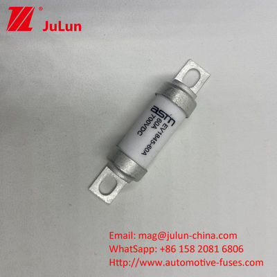 ASTM EV1845 150A đầu ra xe điện Fuse 10kA Breaking Capacity Screw M8 M6 Mounting