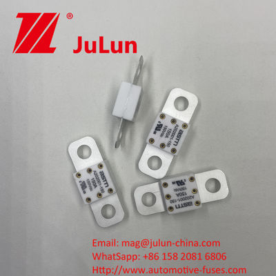 ASTM A202001-250A 150VDC High Current Rating Ceramic Vehicle Fuses để bảo vệ mạch ngắn