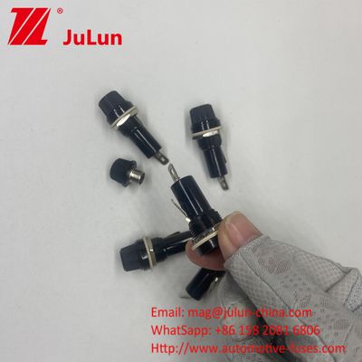 10A 250V AC 6 * 30 Bakelite Mini Fuse Holder Plug Plug
