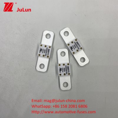 ASTM Fuse xe điện A202008 300A Fuse 125VDC Terminal Type AC Ev Charger Adapter tương thích với 20KA Breaking Capacity