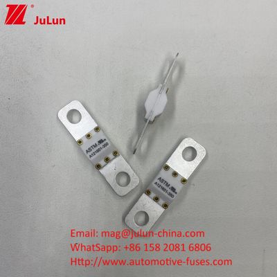 300A 125VDC Chất bảo hiểm ô tô gốm có khả năng phá vỡ cao để chuyển đổi điện