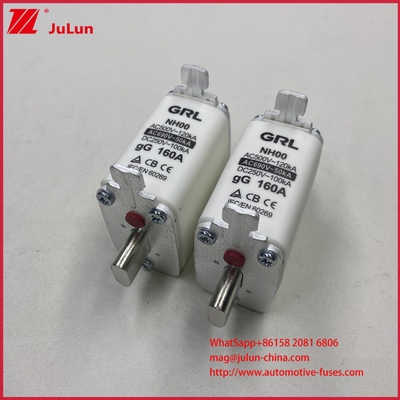 160A, 200A, 250A, 315A, 400A, NT000, NT00, NT0, NT1, NT2, NT3, NT4 Cầu chì ống và đế cầu chì 500V AC 10A~100A, 125A, 500A 630A