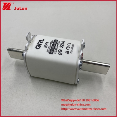 NH000 NT000 300A 225A 500V 120kA Khả năng phá vỡ cao Fuse Fuse Link với GG-gL Knife Contactor Blade